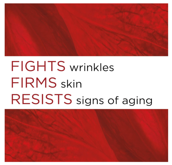 L'Oreal Paris Revitalift Anti-Wrinkle + Firming Moisturizer 1.7oz Fragrance Free - Image 7